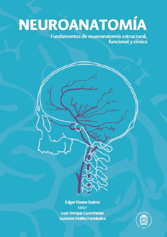 Copia de Neuroanatomia.pdf