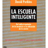 La escuela inteligente. Del adiestramiento de la memoria a la educación de la mente – David Perkins.pdf