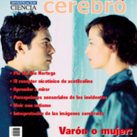 Mente y cerebro 007 - Varón o mujer. Cuestión de simetría.pdf