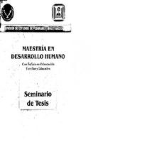 SEMINARIO TESIS0002.pdf