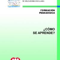 Gabriela Alejandra Fairsten. (2003) CÓMO SE APRENDE.pdf