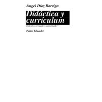 DÍAZ BARRIGA,A. DIDÁCTICA Y CURRÍCULUM. CONVERGENCIAS EN LOS PROGRAMAS DE ESTUDIO .pdf